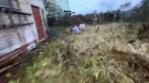 Прода из телеграмма Декстер.Злой ОТЕЦ ЗАПЕР ДОЧЬ в ПОД