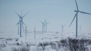 Териберка в мае 2025