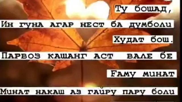 Думболи касе бош ки думболи ту бошад👆👆👆 смотреть онлайн