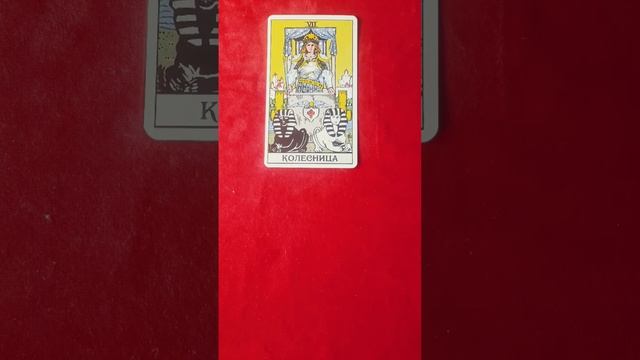 ВЕСЫ 18-19.12 #картадня #таро #знакизодиака #гадание смотреть онлайн