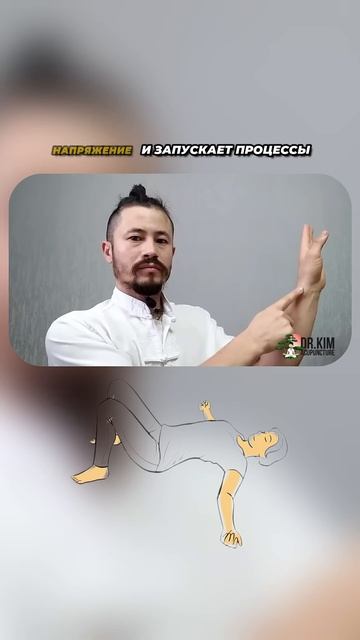 Нашли точку? #здоровье #зож #полезно #массаж #советы #со? смотреть онлайн