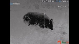 Тепловизионный прицел RikaNV Lesnik 650L - прокол уха, модный к