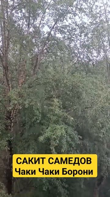 САКИТ САМЕДОВ - Чаки Чаки Борони. смотреть онлайн
