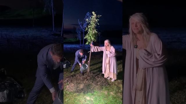 Макарские. Дерево посадили, дом построили, сына родили смотреть онлайн