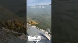 Раколовка дорожка в работе. Как поймать много раков. И?