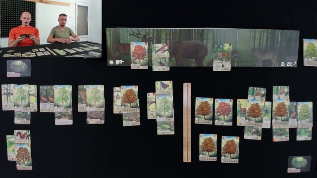 Смешанный лес - Играем в настольную игру смотреть онлайн