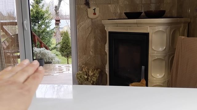 Пора в сад! Шикарный Февральский день. Посев цветов. смотреть онлайн