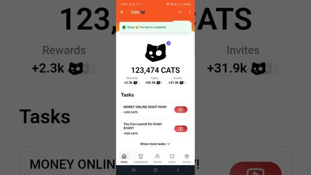 Cats Все Коды от Видео 21 Октября Кэтс Сегодня смотреть онлайн