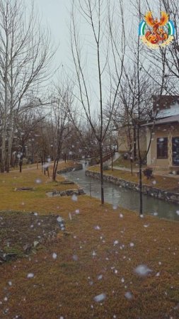 конигиль