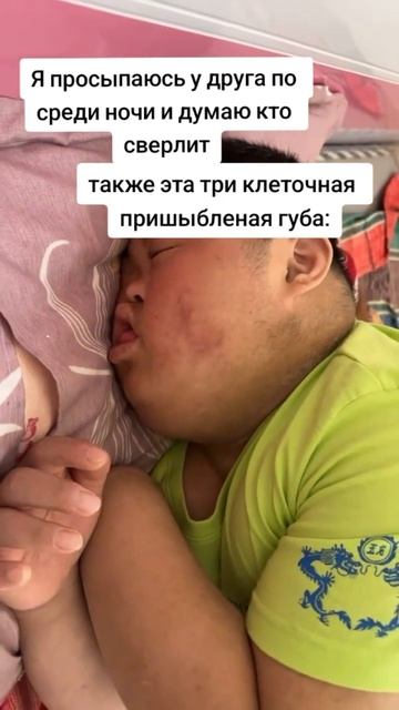 не до дрель😂 смотреть онлайн