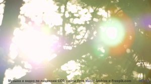 Цветущие поля и цветущие ноты! - Affirmations -- Ketsa -- Through to Fall