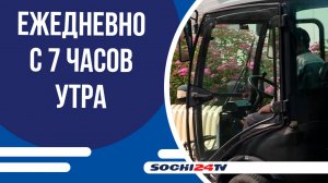 В Сочи усиленно дезинфицируют пляжи перед наплывом туристов