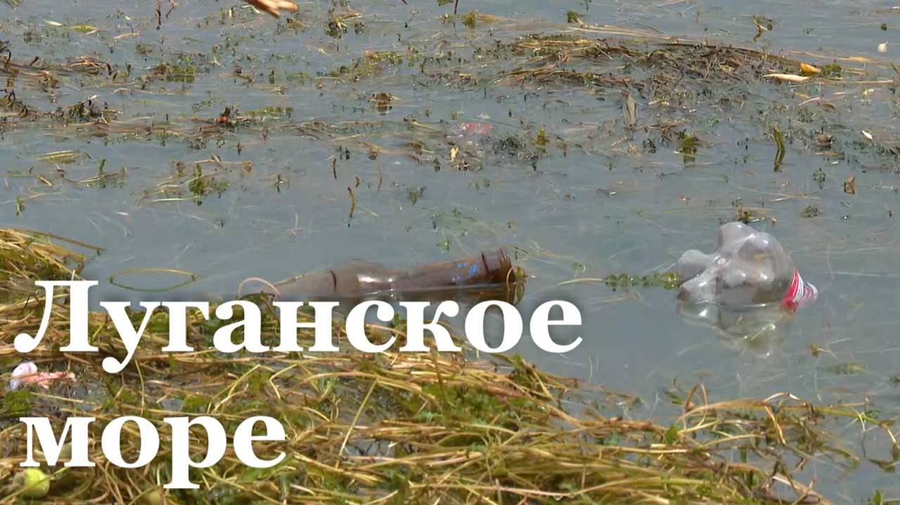 Более сотни мешков мусора собрали на берегу Луганского моря
