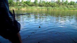 05 06 2025 гь Михайловка  река Медведица