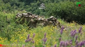 Йевзаш Йоцу Ночийчоь. Хьайха. Мержа. Орстхойн пхьа