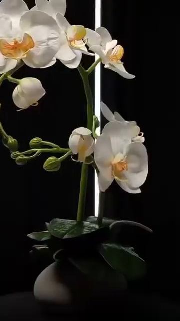 ШИКАРНЫЕ ЦВЕТЫ К ЛЮБОМУ ПРАЗДНИКУ, 8 МАРТА #подароксвоимируками #цветочныекомпозиции смотреть онлайн