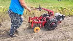 Картофельные будни. Мотоблок МТЗ-09Н + КМ-1.