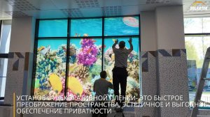 Альтернатива жалюзи и шторам для больших окон 💡