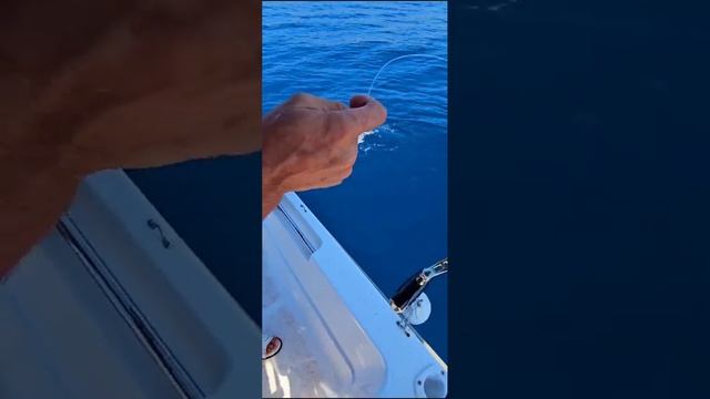 Сезон рыбалки смотреть онлайн