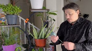 Как измерить влажность почвы: Приборы для идеального ?