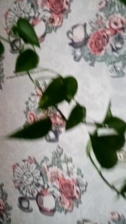 VID_20250605_082437.mp4