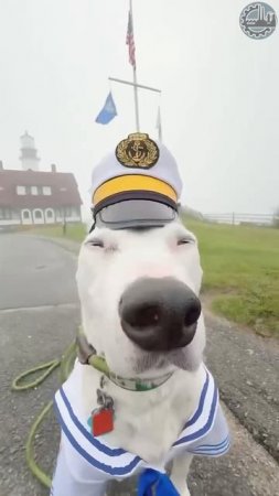 🙂 «Хороший мальчик» получил повышение
