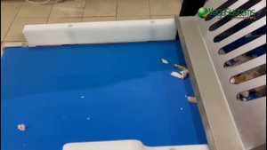 Машина для деликатной нарезки рыбы и мяса Vega HDFS 40 I Нар?