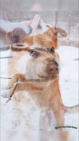 Супер Балт