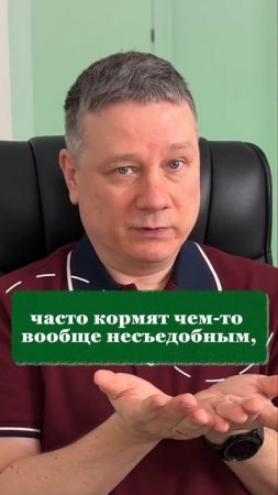 Всегда бери перекус в самолет и вот почему!