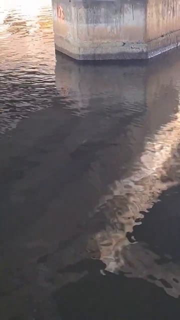 1 час покидал поисковый магнит F600x2 838 кг. Часть 2 Засади? смотреть онлайн