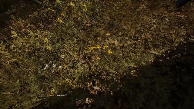 S.T.A.L.K.E.R. 2 , полная кат-сцена из трейлеров с Рихтером смотреть онлайн