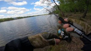 Shimano Sephia  ловит от ЛЕщя до Головля)))