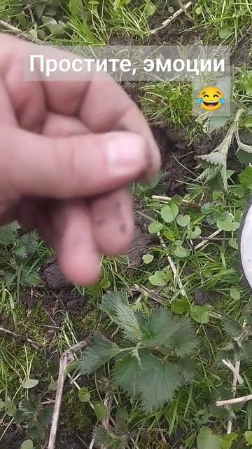 Топовая Находка 1#life #deus #prussia #коп #ww2 #metaldetecting #металлои? смотреть онлайн