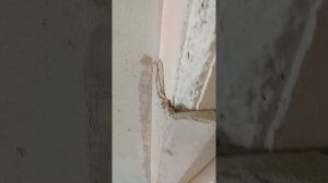 Как сделать Проем под новую дверь.