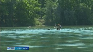 На Ставрополье обещают летнюю жару