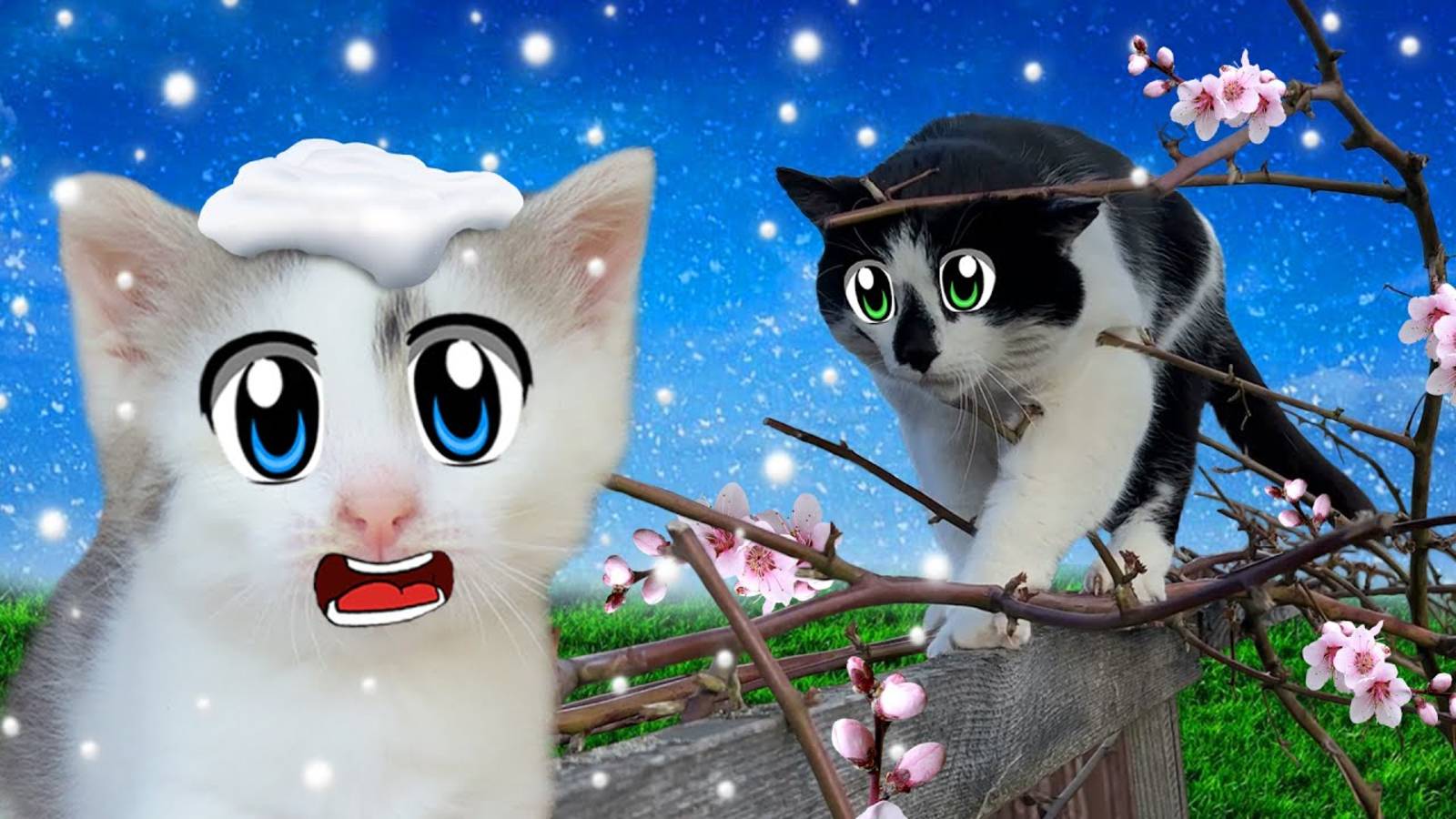 ШКОЛА КОТОВ УРОК БОТАНИКИ! КОТ МАЛЫШ Стал САМЫМ УМНЫМ ! 24 ЧАСА с КОТАМИ А НУ КА ДАВАЙ КА на УЛИЦЕ