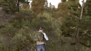 DayZ Mod Arma 2 - Как играется в 2025 году? 1.7.6.1. #dayz #dayzmod