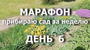 Марафон  "Прибираю сад за неделю" День 6