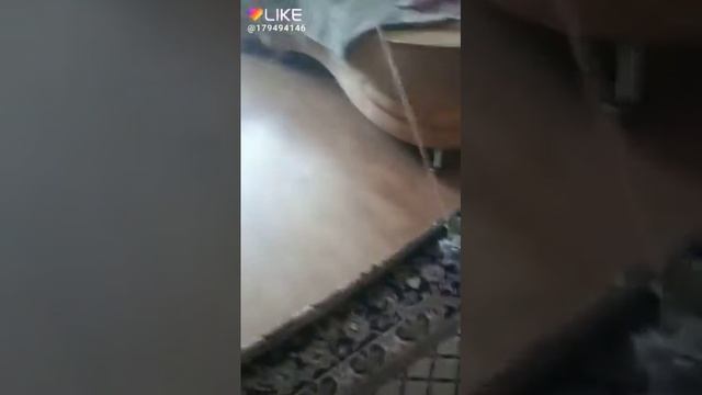 Короче говоря сходил дома на рыбалку смотреть онлайн