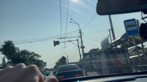 Везу зверя на прогулку в парк