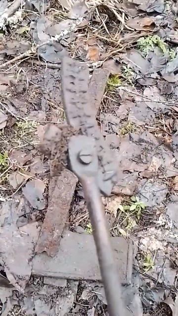 Поиск металлолома в лесу смотреть онлайн