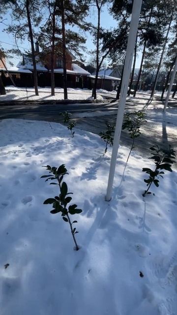 Горячий Ключ накрыло снегом, смотри, что происходит у ? смотреть онлайн