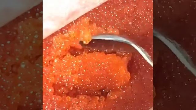 Икра Красная в Томске и Северске!ФОРЕЛИ!Карелия!Икрин?