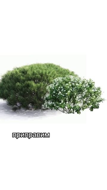 Готовая композиция для сада. Простой миксбордер #ланд? смотреть онлайн