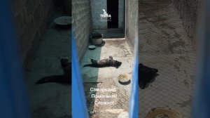 помогите!
