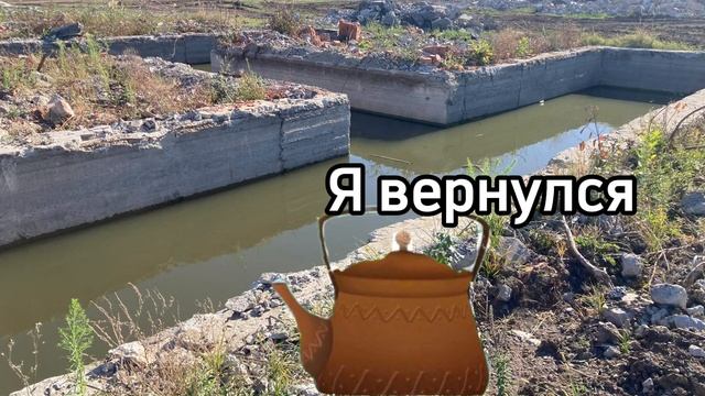 3 сезон 3 серия Чайник Убивца Необычный экземпляр