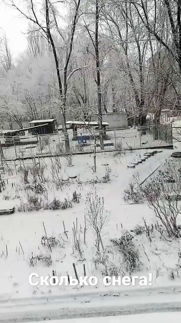 Снег в Ростове на Дону смотреть онлайн