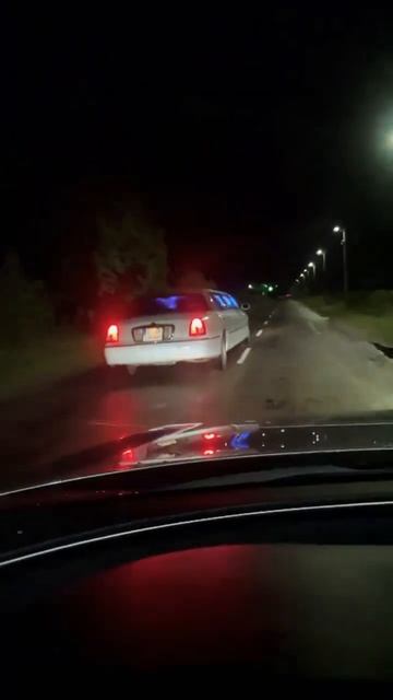 #лимузинская_порода #лімузин#лимузин #авто #тренды #memes смотреть онлайн