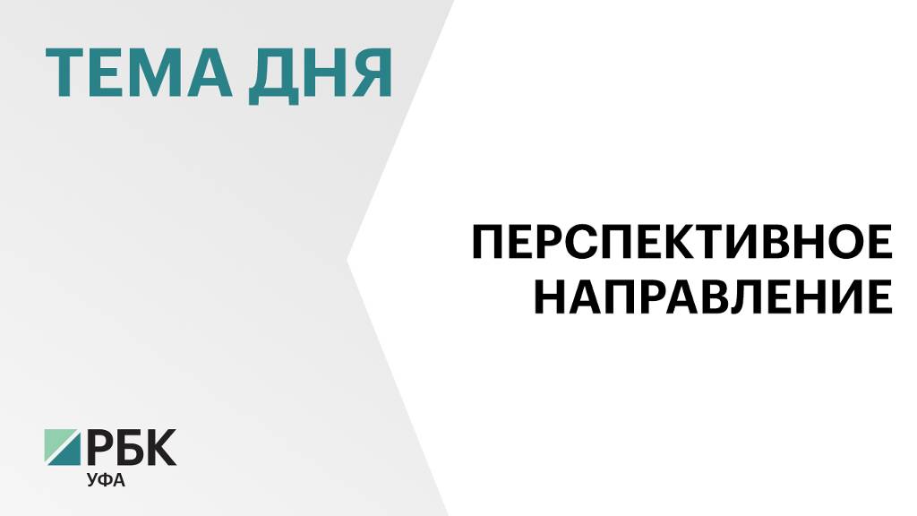 Спрос на посуточную аренду квартир в Уфе за год вырос на 76%