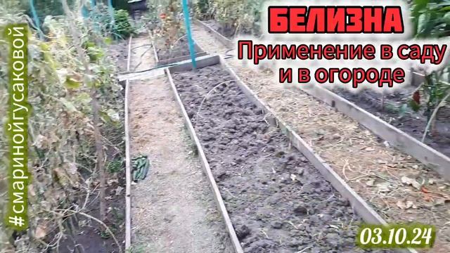 Как обработать сад от вредителй и болезней осенью с по